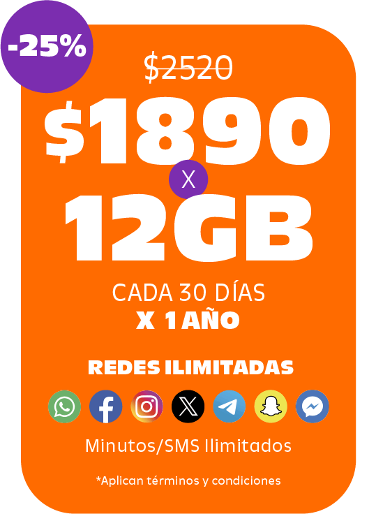 planes 1 año